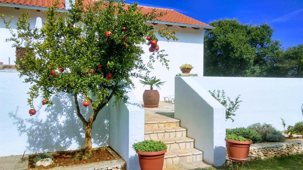 Вілла House Soni - 800 M From The Sea Ровінь Екстер'єр фото